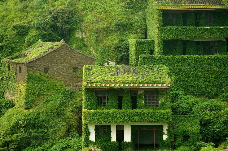 ARTOFNATURE – VILLAGE ABANDONED BY VILLAGERS, GETS ARTISTIC NATURE’S TOUCH