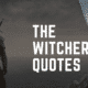 the witcher quotes