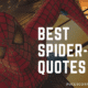 Quotes from the Spider-Man Movies