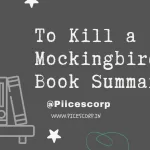 To Kill a Mockingbird Book Summary