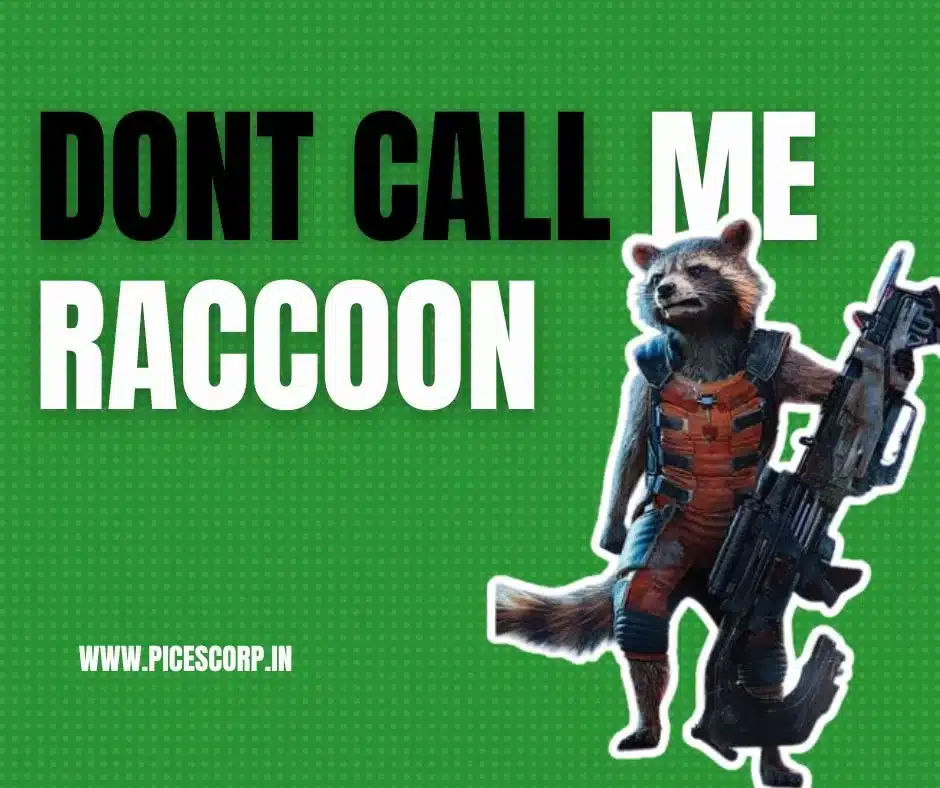 Rocket Racoon quotes1