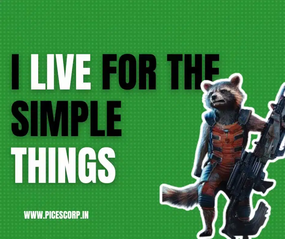 Rocket Racoon quotes4