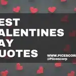best valentines day quotes