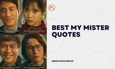 Best My Mister quotes