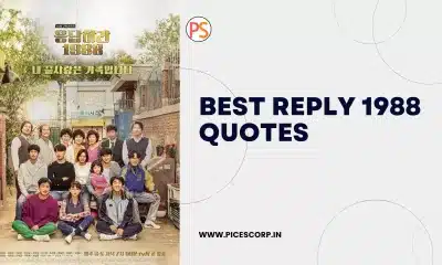Reply 1988 quotes