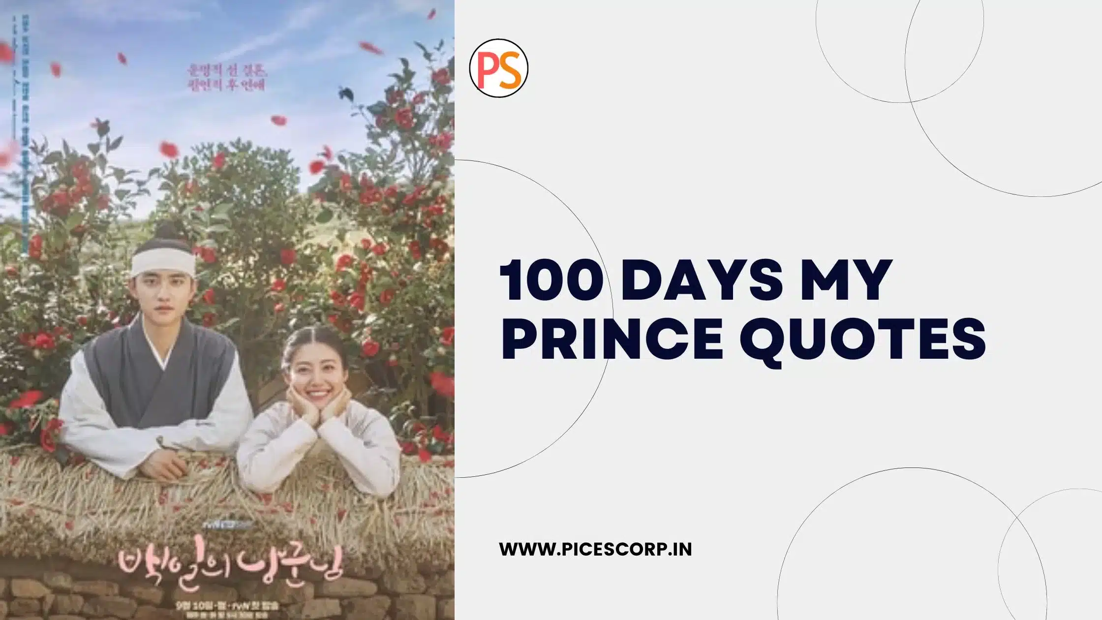 100 days my prince