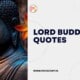 Lord buddha quotes