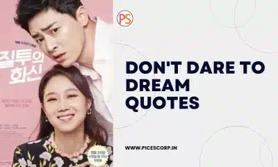 Don't Dare to Dream Quotes