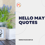 hello may quotes