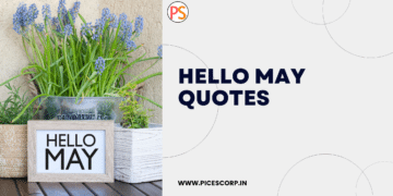 hello may quotes