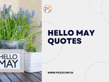 hello may quotes