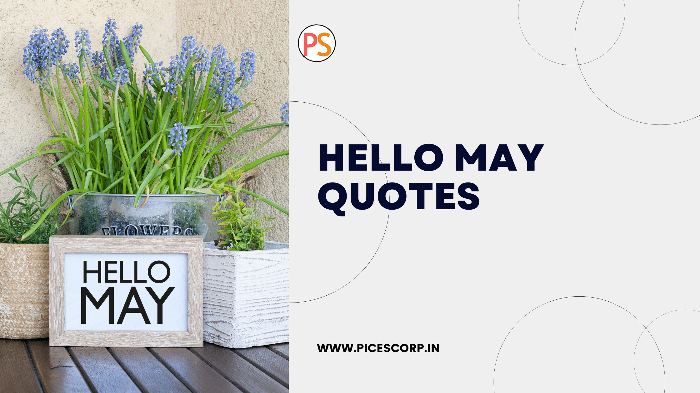 hello may quotes