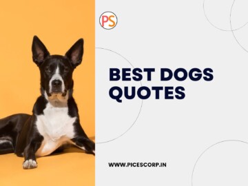 Best dogs quotes