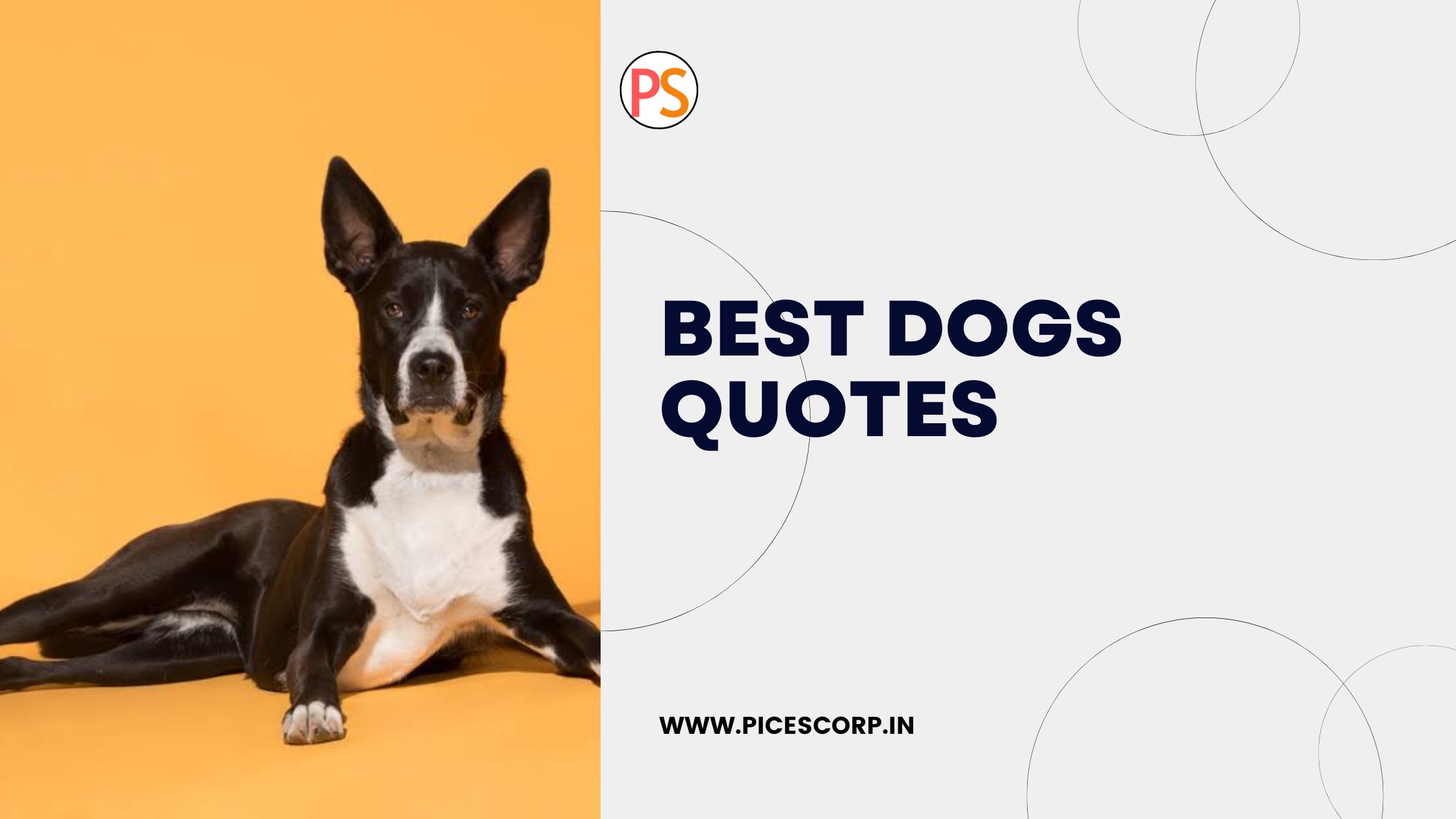 Best dogs quotes