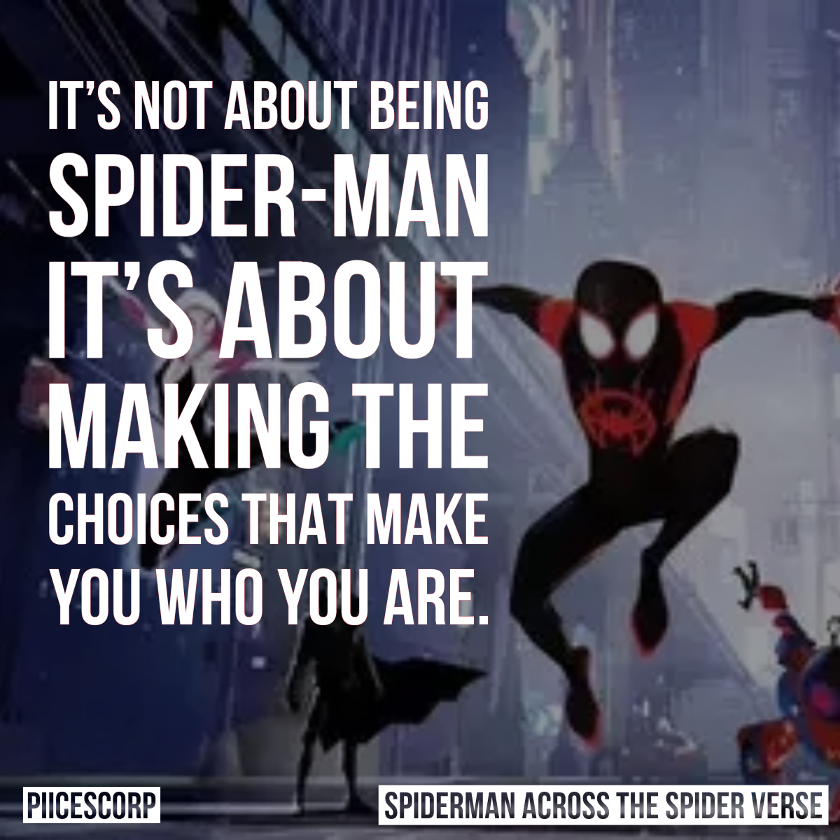 Spiderman across the spider verse