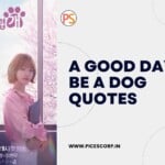 A Good Day to Be a Dog quotes