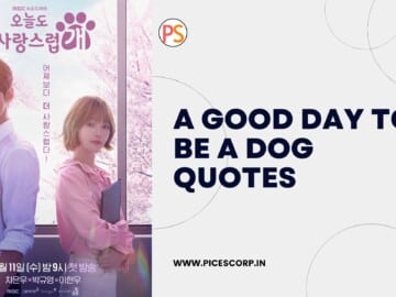 A Good Day to Be a Dog quotes