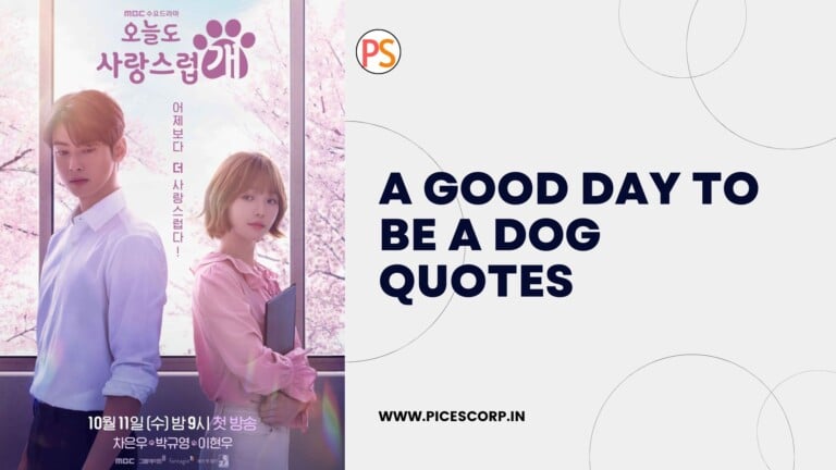 A Good Day to Be a Dog quotes