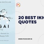 20 best ikigai quotes