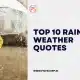 Top 10 Rainy weather quotes