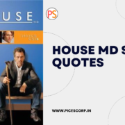 dr house from house md quotes