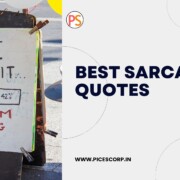 sarcastic quotes