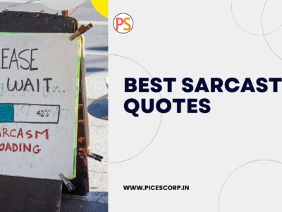 sarcastic quotes