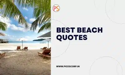 20 best beach quotes