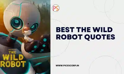 The wild robot movie quotes