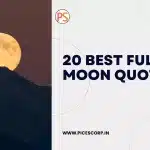 20 best full moon quotes