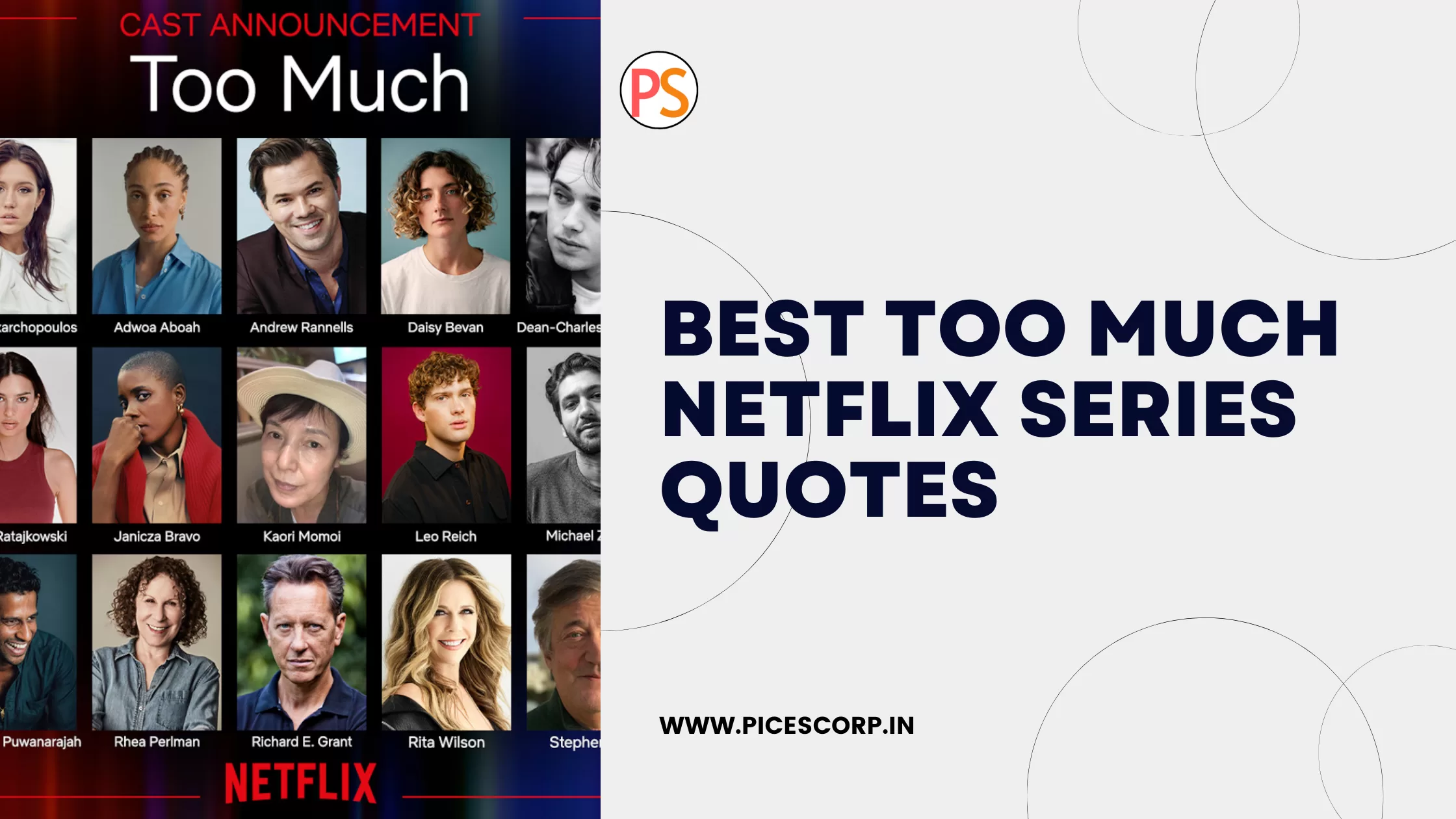 Too Much Netflix Series